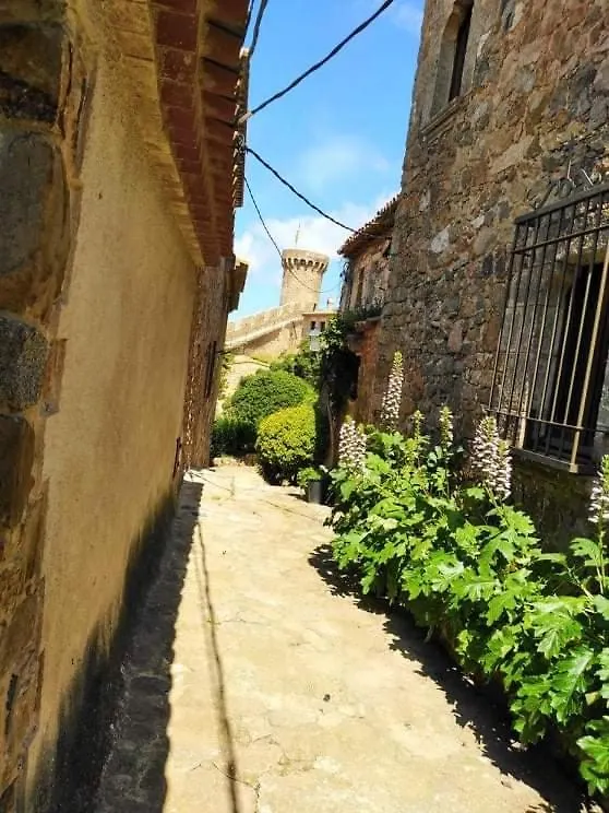 Ferienwohnung Sant Jordi Santiago Tossa de Mar Spanien